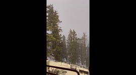 Thundersnow blankets Palm Springs Aerial Tramway