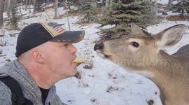 Man Shares Apple With Deer Friend