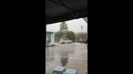 Cat shelters from the rain in owner's motorcycle helmet