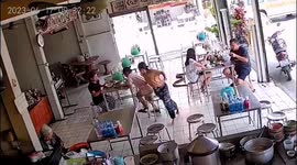 Huge python sends terrified customers fleeing when it rampages into restaurant