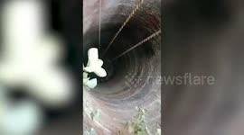 Bull rescued by fire service officials after it falls into 60-feet deep well in northern India