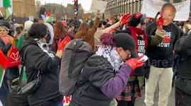 Pro-Palestine protesters block Westminster Bridge in London
