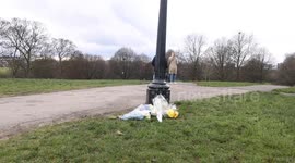 Boy, 16, charged with murder of Harry Pitman on New Years Eve on Primrose Hill London
