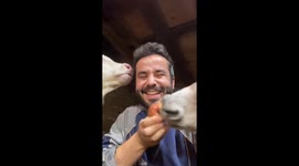 Man Shares Snacks With Farm Animals