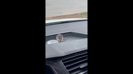 US woman films hours-long ordeal as she attempts to remove mouse from her car