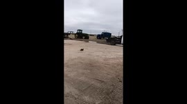 Two cats that are being funny goofing off playing in and around box