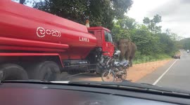 The Bowser driver who saved the motorcyclist from the elephant they are on the truck