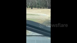 Record-breaking rain lashes Australia's Victoria, flood evacuation orders issued