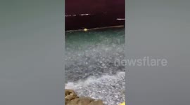 Thousands of beached sardinella wash ashore in the Philippines