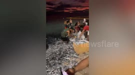 Excited locals collect thousands of sardinella fish hauled up on beach