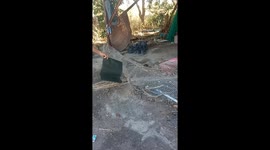 Good Samaritan rescues snake tangled in net