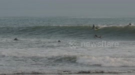 Incredible scene as dolphins ride waves alongside surfers off California coast