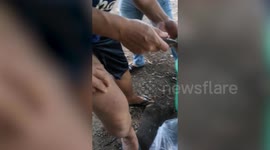Angler squeezes lemon on leech to remove it