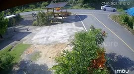 Pickup drifts along road and demolishes roadside waiting shed