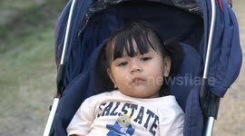 A small cute toddler falls asleep in a flower garden at a Buddhist temple in Thailand.