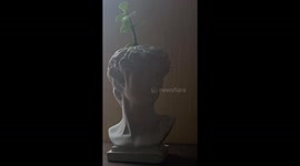 sculpture with a plant