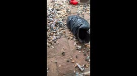 Chaotic aftermath shows how dog destroyed mattress to pieces