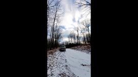 Massive fail! Man chops huge tree that falls on top of truck