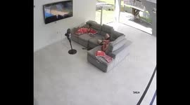 Bat Breaks Into House and Lands on Woman's Head
