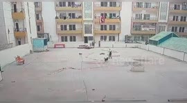 Woman barely manages to escape attack by stray dogs