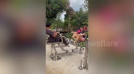 Husband struggles to pull arm and leg press equipment with heavy wife