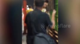 Police rescue hundreds of smuggled dogs sent to restaurants to be eaten
