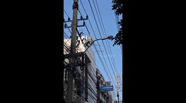 Unruly monkey sparks chaos as it shakes up street lamps and climb around buildings