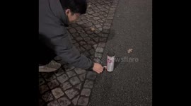 Funny moment odds and ends appear after fireworks explode on New Year's Day