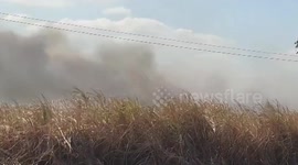 Thai farmers continue burning fields despite soaring air pollution across country