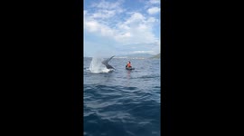 Whale encounter: jet ski splash moment captured!