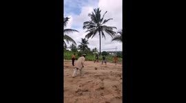 Goalpost shuffle: Penalty shot ends with surprise twist