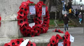 Remembering those, Poppies in Peace, Putney, London, United Kingdom