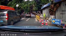 SUV crushed in China as massive tree topples during roadworks