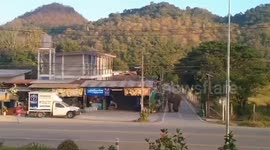 Elephant casually wanders through village in Thailand