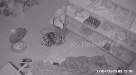 Fan plug bursts into flames while family relax at home