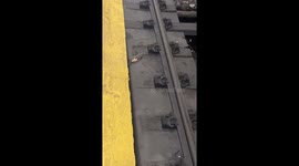 Subway Rats Battle Over Pizza Crust