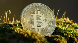 The sun shines on a physical Bitcoin BTC coin ahead of the Bitcoin Halving when mined Bitcoin drops from 900 to 450 per day.