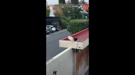 Tomas The Cat And His Unkind Girlfriend
