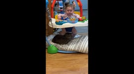 Baby is having a great time ... bouncing on cat's head!