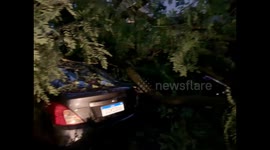 Heavy Rainfall Causes Fallen Trees in Sao Paulo, Brazil