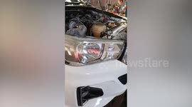 Mechanics shocked when they find python in customer's car engine