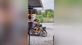 Six pet dogs ride motorcycle sidecar with owner