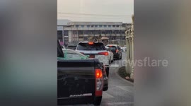 Rude monkeys climb all over cars stuck in traffic