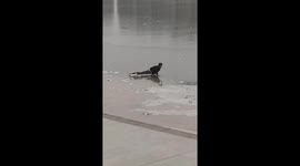Police officer rescues numb woman drowning in frozen lake in northwest China