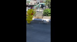 Plucky pet dogs chase away Pikachu mascot