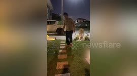 Clingy pet kittens follow owner around his yard