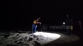 Officials find dozens of leatherback turtle eggs on Thai beach during spawning season