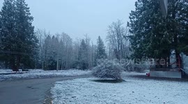 Snowfall intensifies in Metro Vancouver, BC, Canada