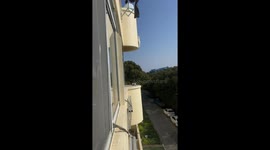 Stranded cat hanging from balcony saved by heroic resident
