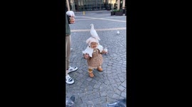 Heartwarming clip shows playful pigeon landing on crying toddler's head